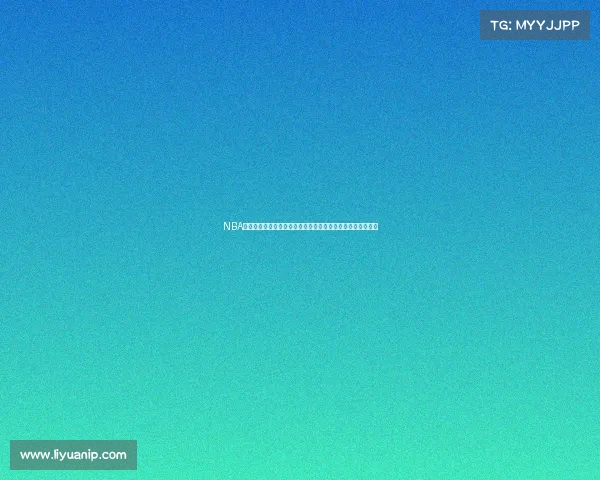 NBA赛事举办地探访之旅城市脉搏中的篮球心跳激情四射竞技舞台